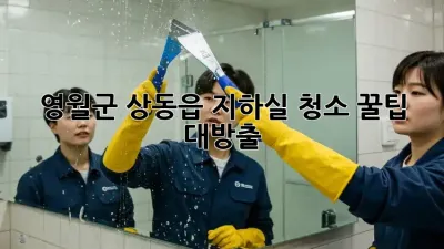 영월군 상동읍 지하실 청소 꿀팁 대방출! ✨